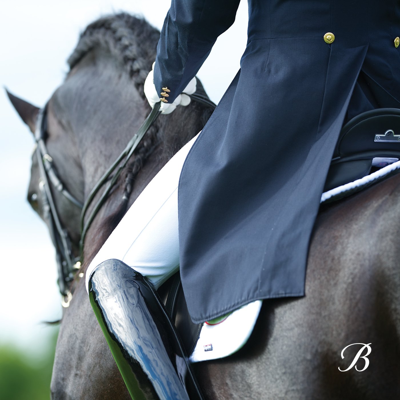 What's your saddle type?