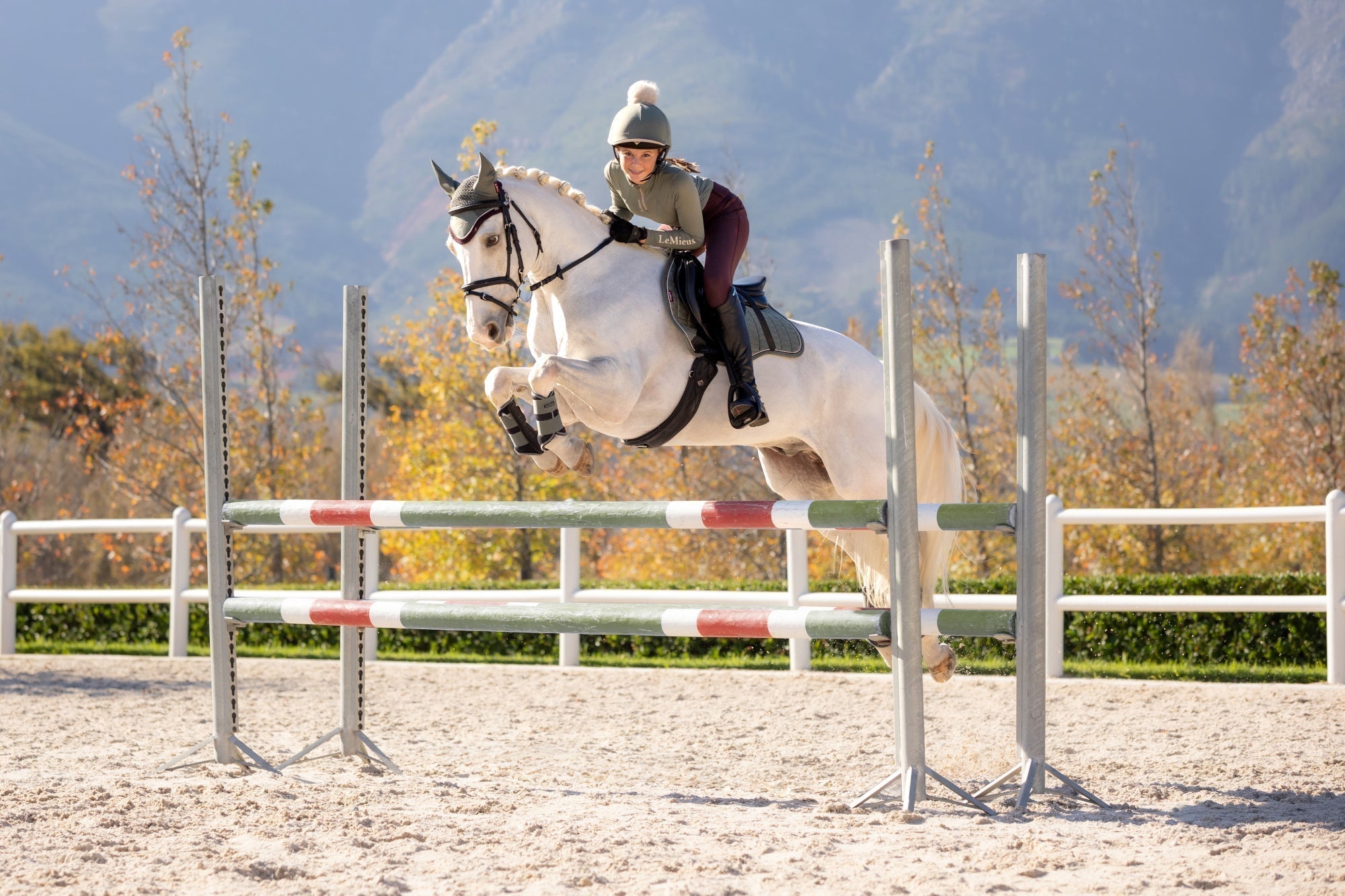 Myth Busting - Horses and Daily Salt Requirements