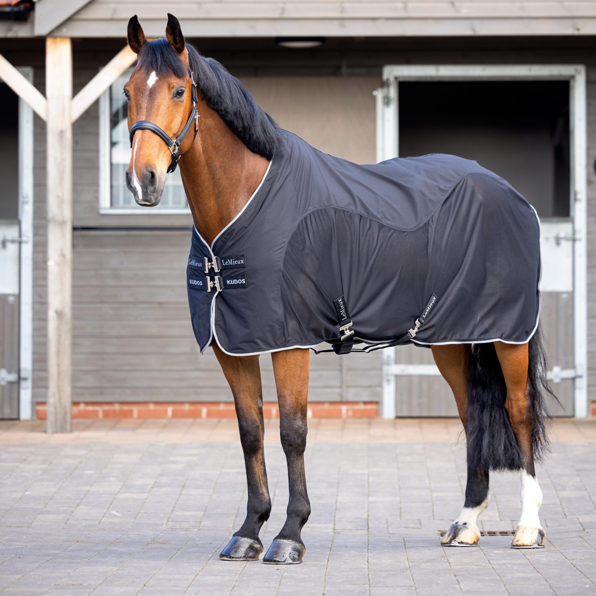 How to wash your horse rugs