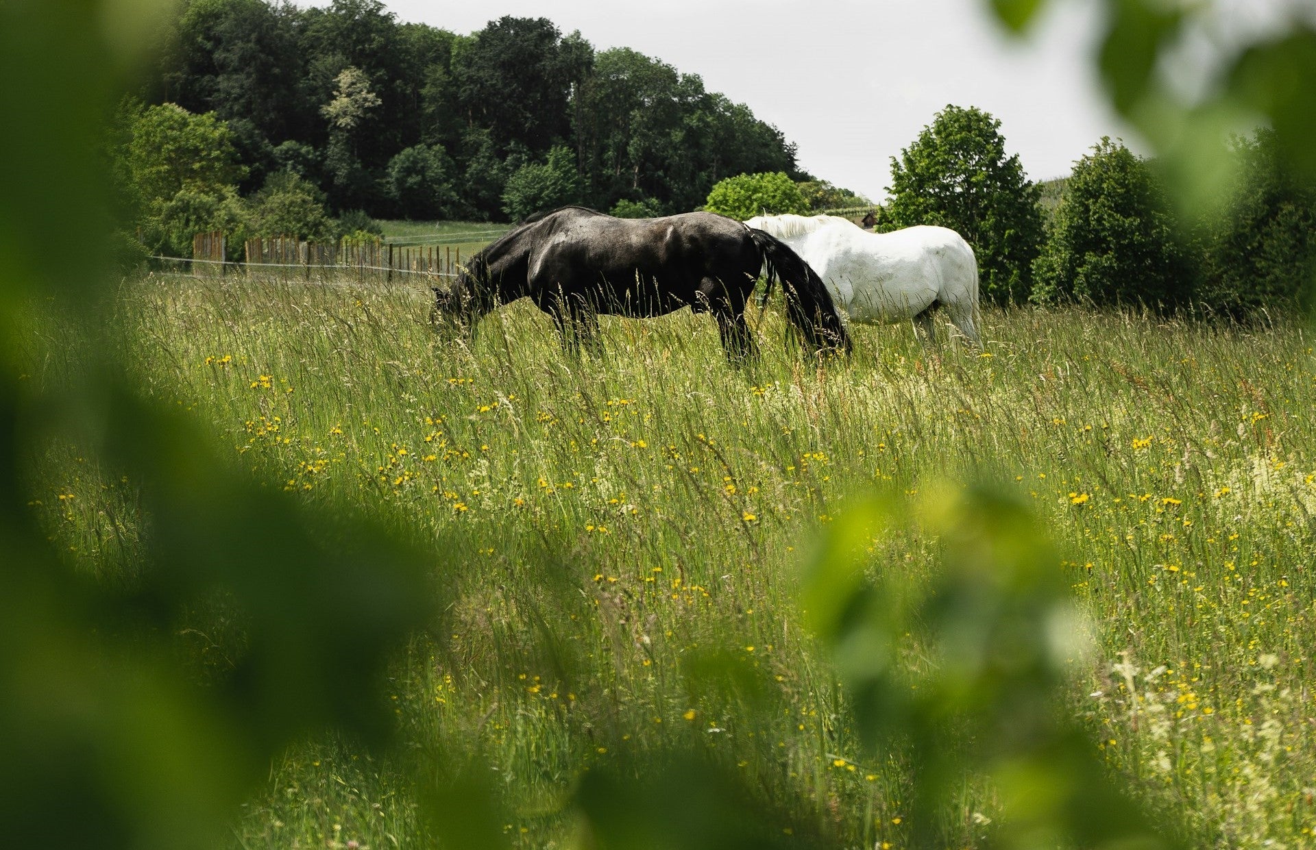 Win a Gift Bucket from Dunstan when you shop in store!