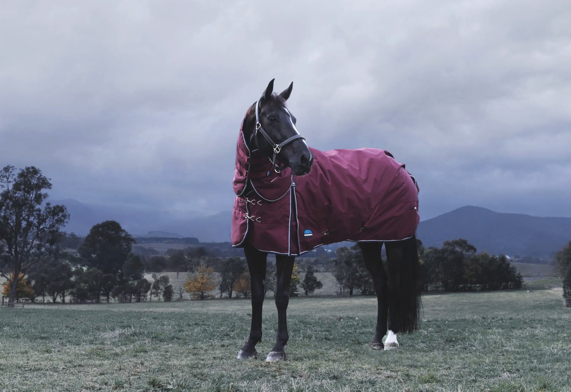 Weatherbeeta Horse Rugs - Find the right rug size for your horses