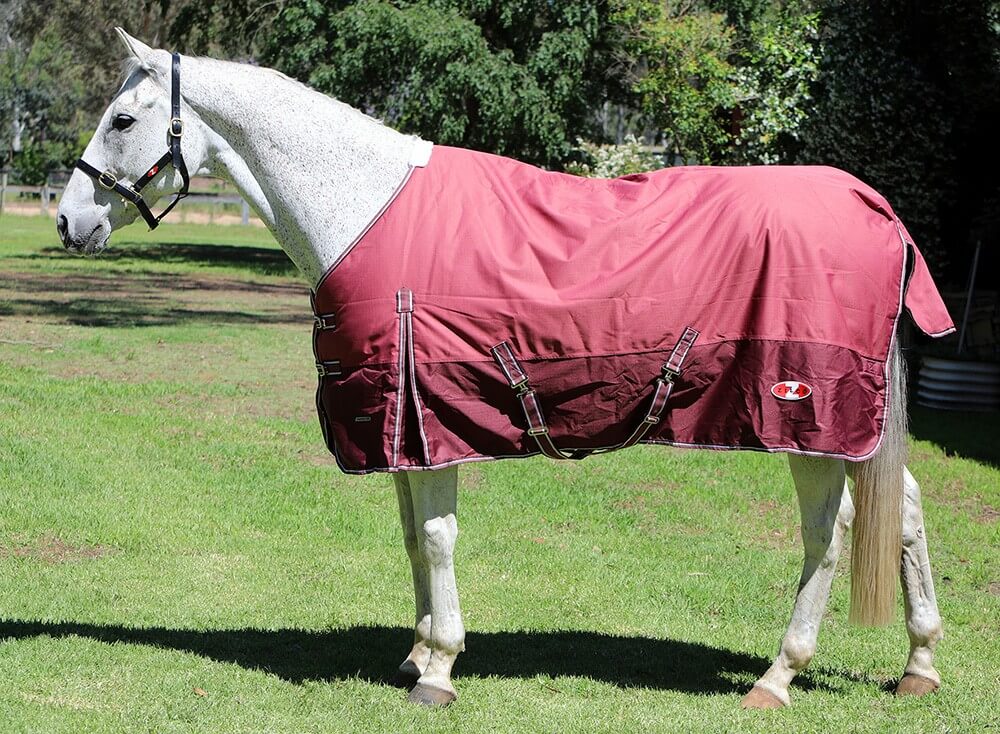 Understanding & Care of Waterproof Horse Rugs