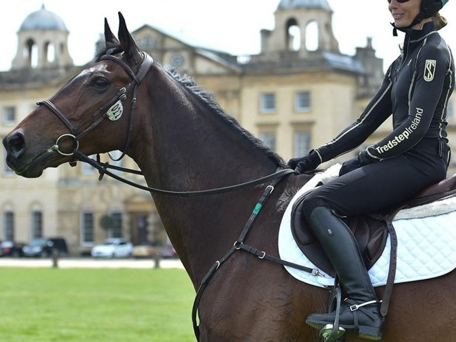 Horse Riding Wear  Ariat, Toggi & More - Unicorn Saddlery