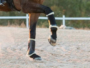 Horse Boots & Bandages