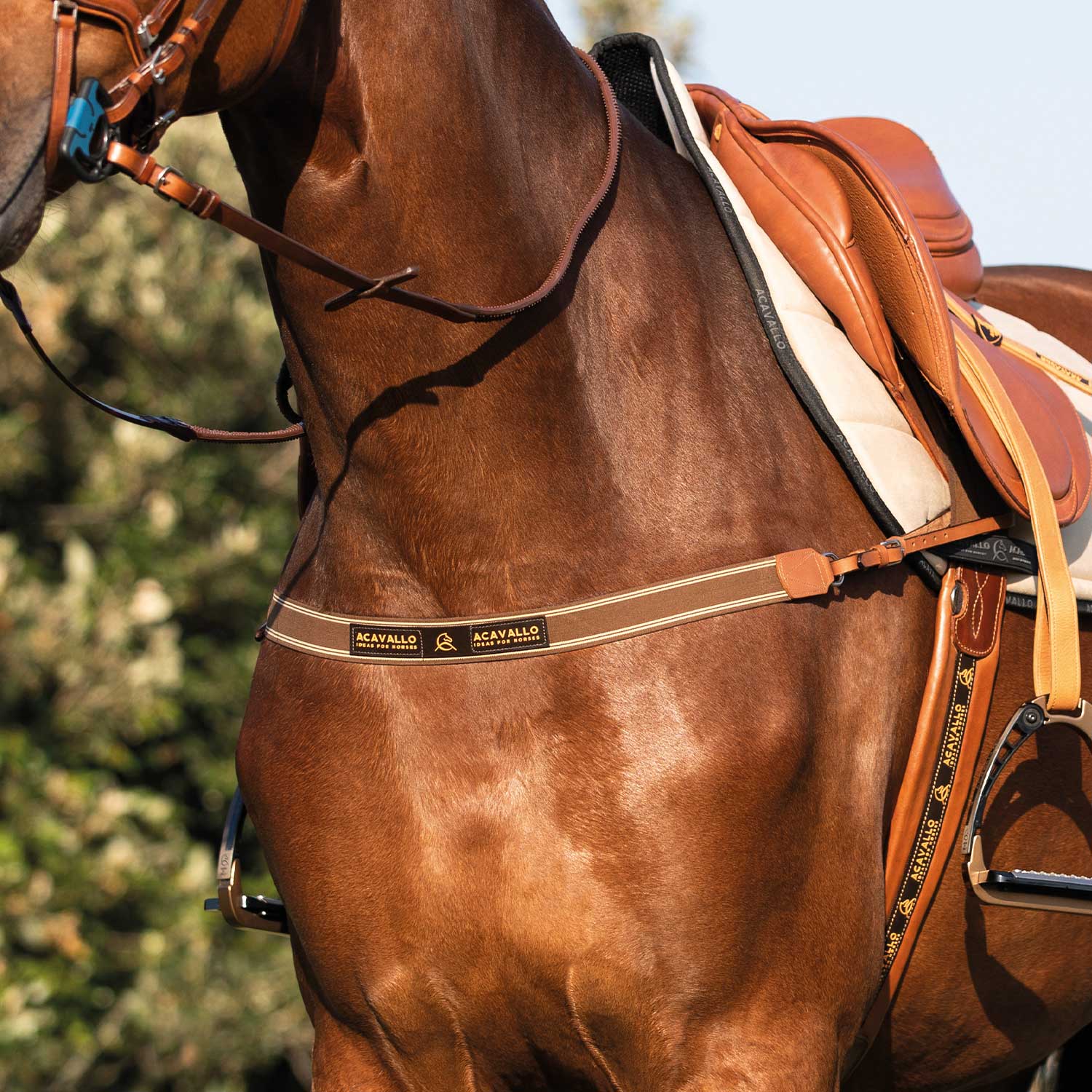 Acavallo Single Elastic Leather Breastplate