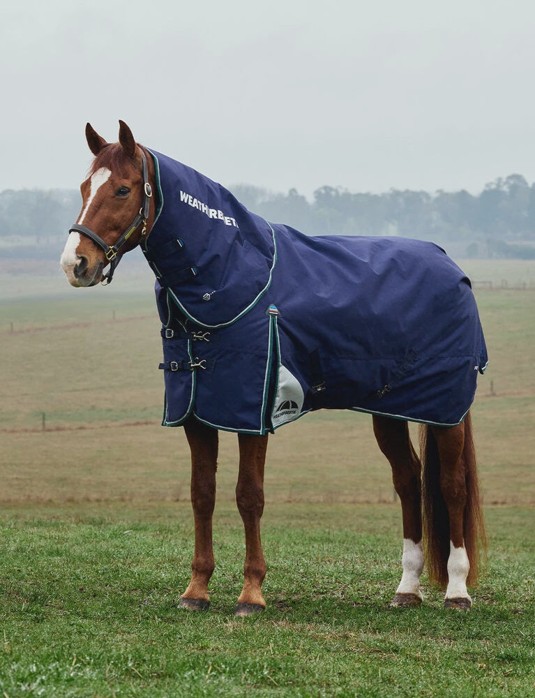 Weatherbeeta Comfitec Plus Dynamic Turnout Rug - Detacha Neck Medium 220g