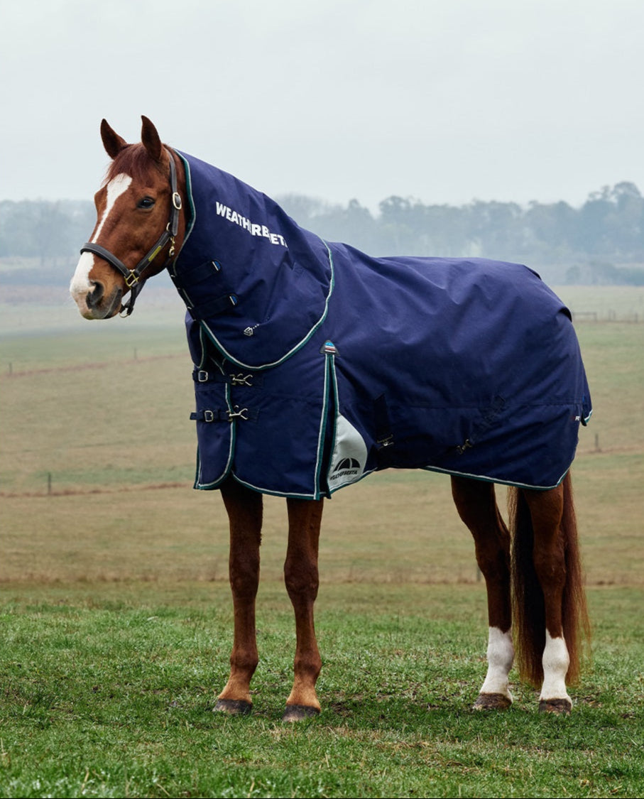 Weatherbeeta ComFiTec Plus Dynamic Turnout Rug - Detatch-a-Neck Lite