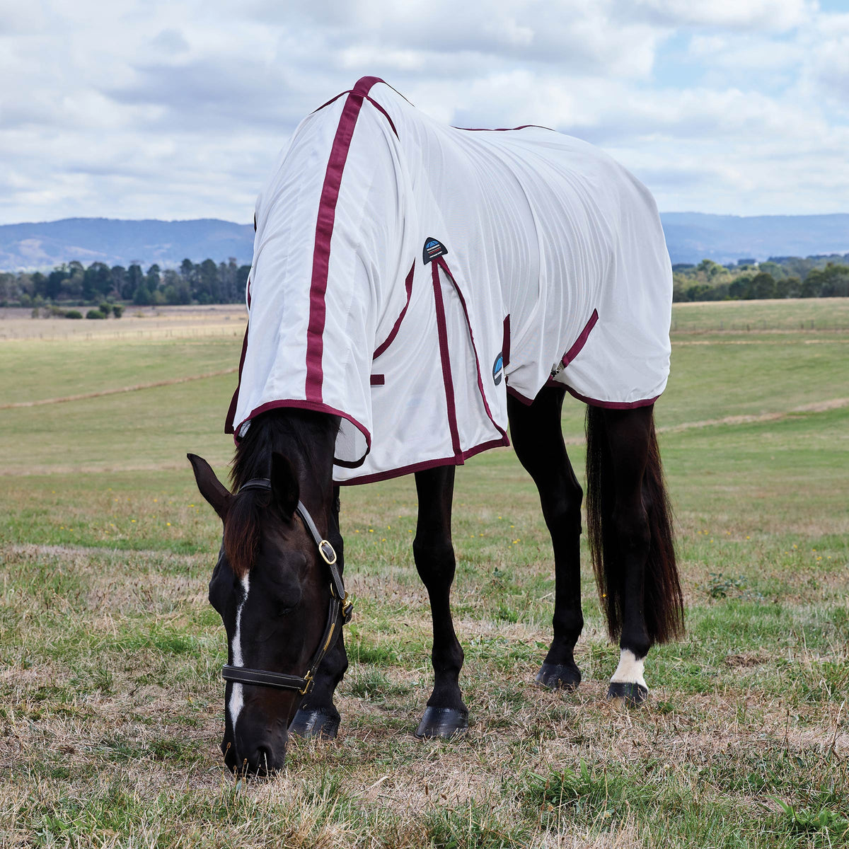 Weatherbeeta ComFiTec Fly Sheet Combo Cover