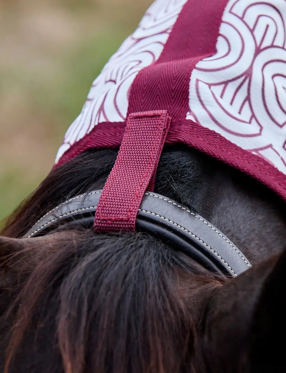 Weatherbeeta Comfitec Limited Edition Fly Sheet Combo Cover