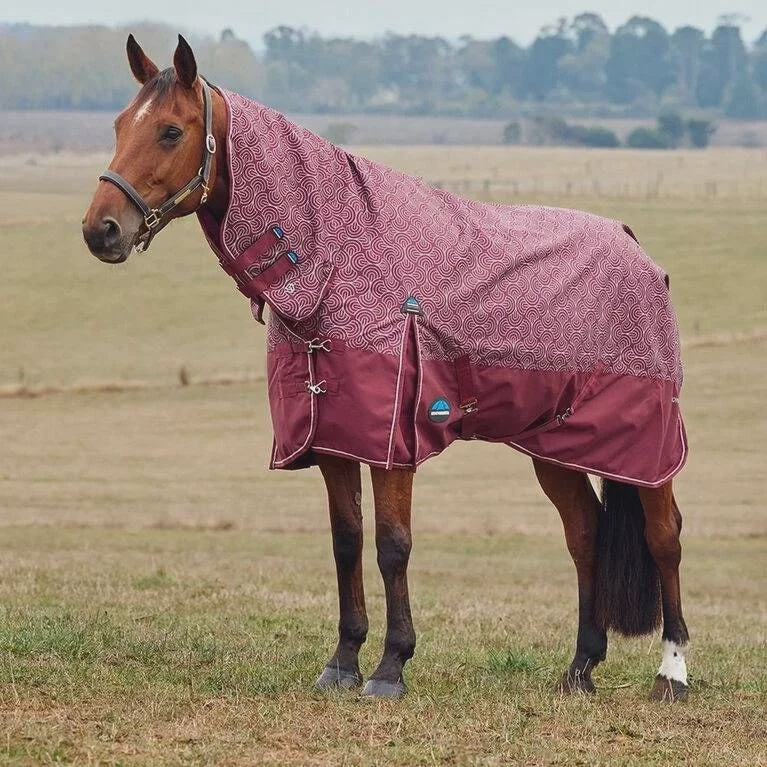 Weatherbeeta Comfitec Limited Edition Turnout Combo Medium 220g