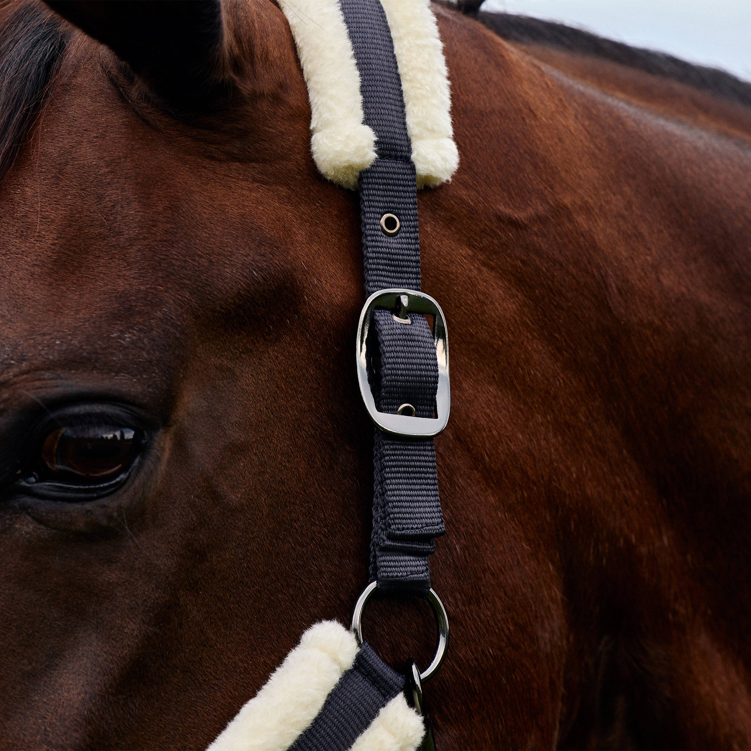Dublin Soft Fit Headcollar