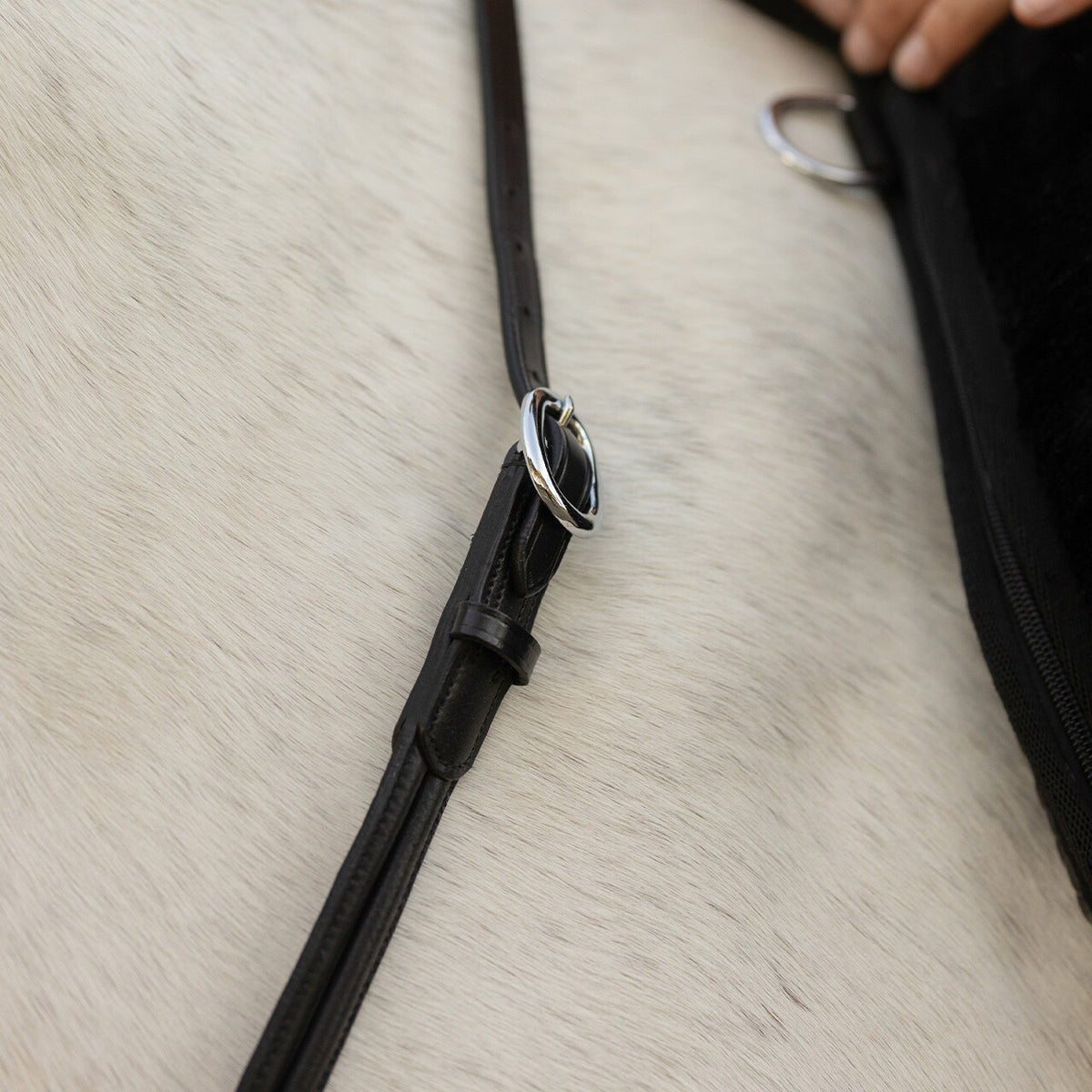 QHP Neck rope leather Liberta