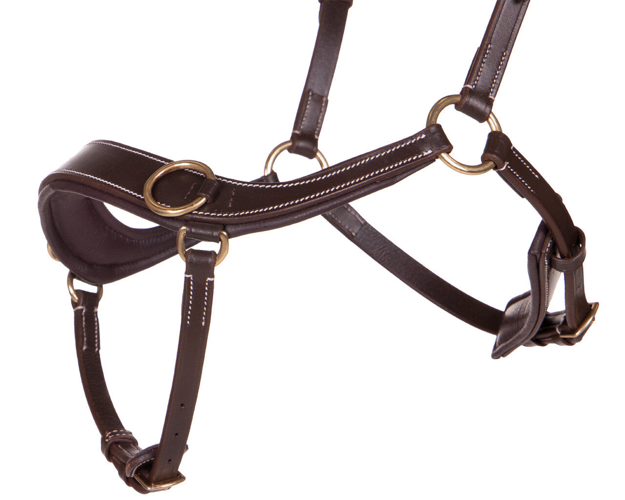 QHP Bitless Bridle Anatomical