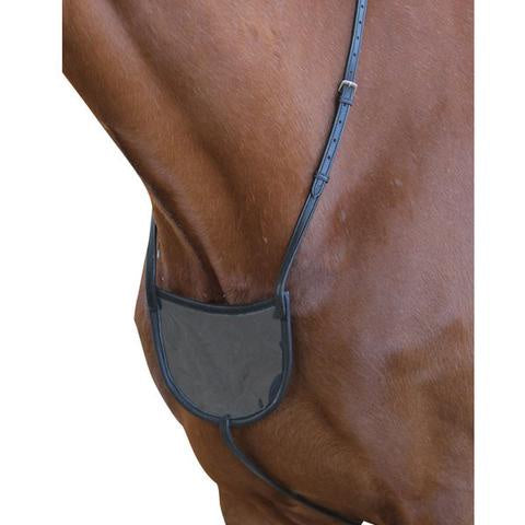 Collegiate Number Holder