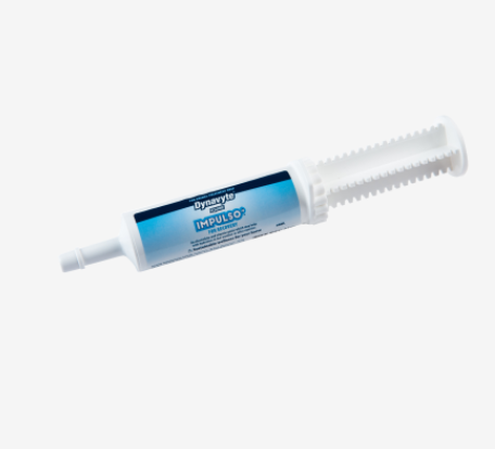 Dynavyte Impulso Paste 60ml