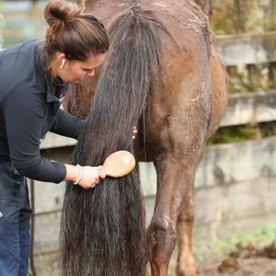 Eco Horse Super Duper Detangler - 500ml