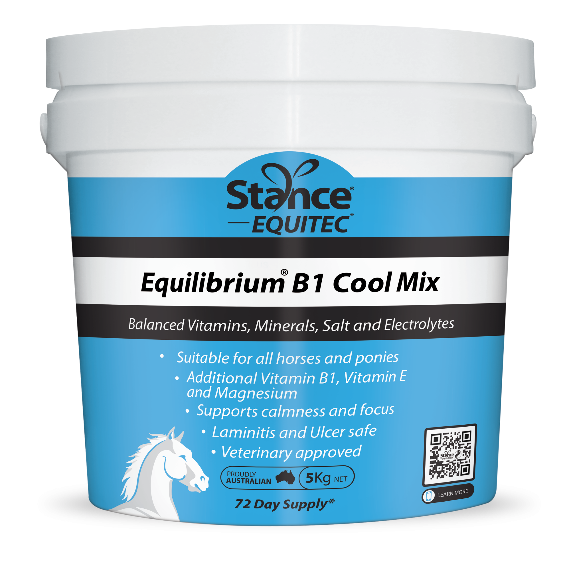 Equilibrium B1 (Blue)