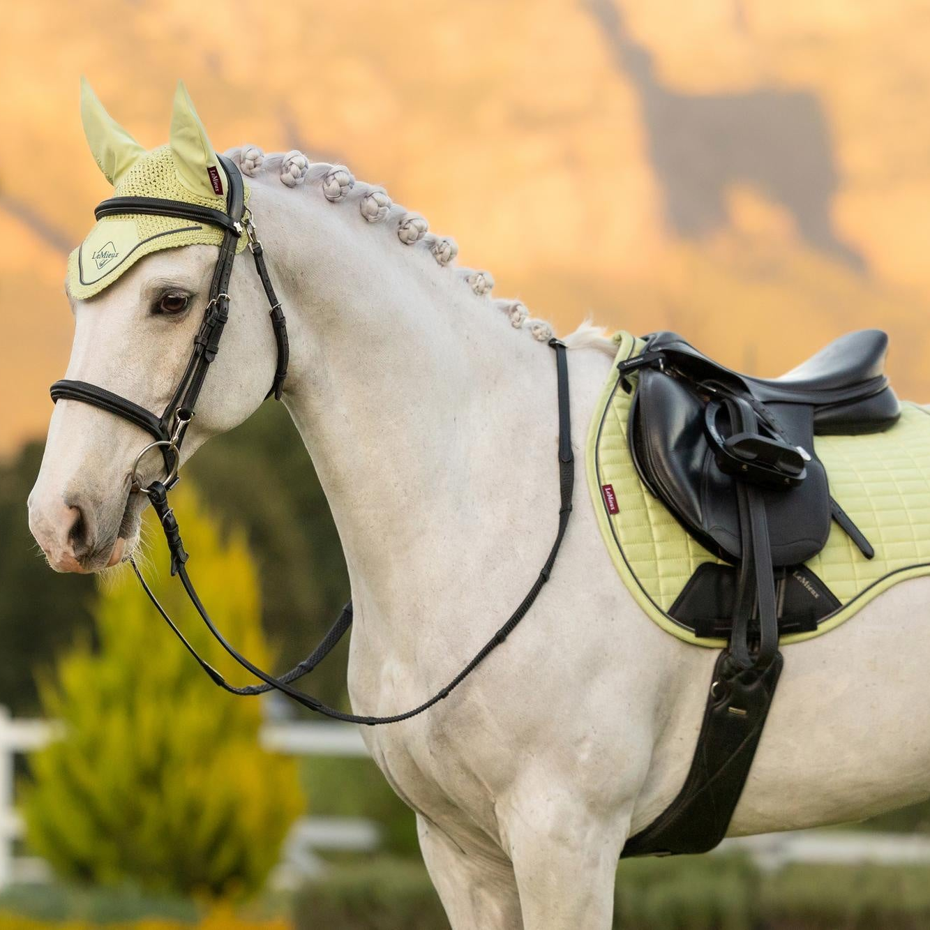 LeMieux Suede GP Square Saddle Pad - SS26