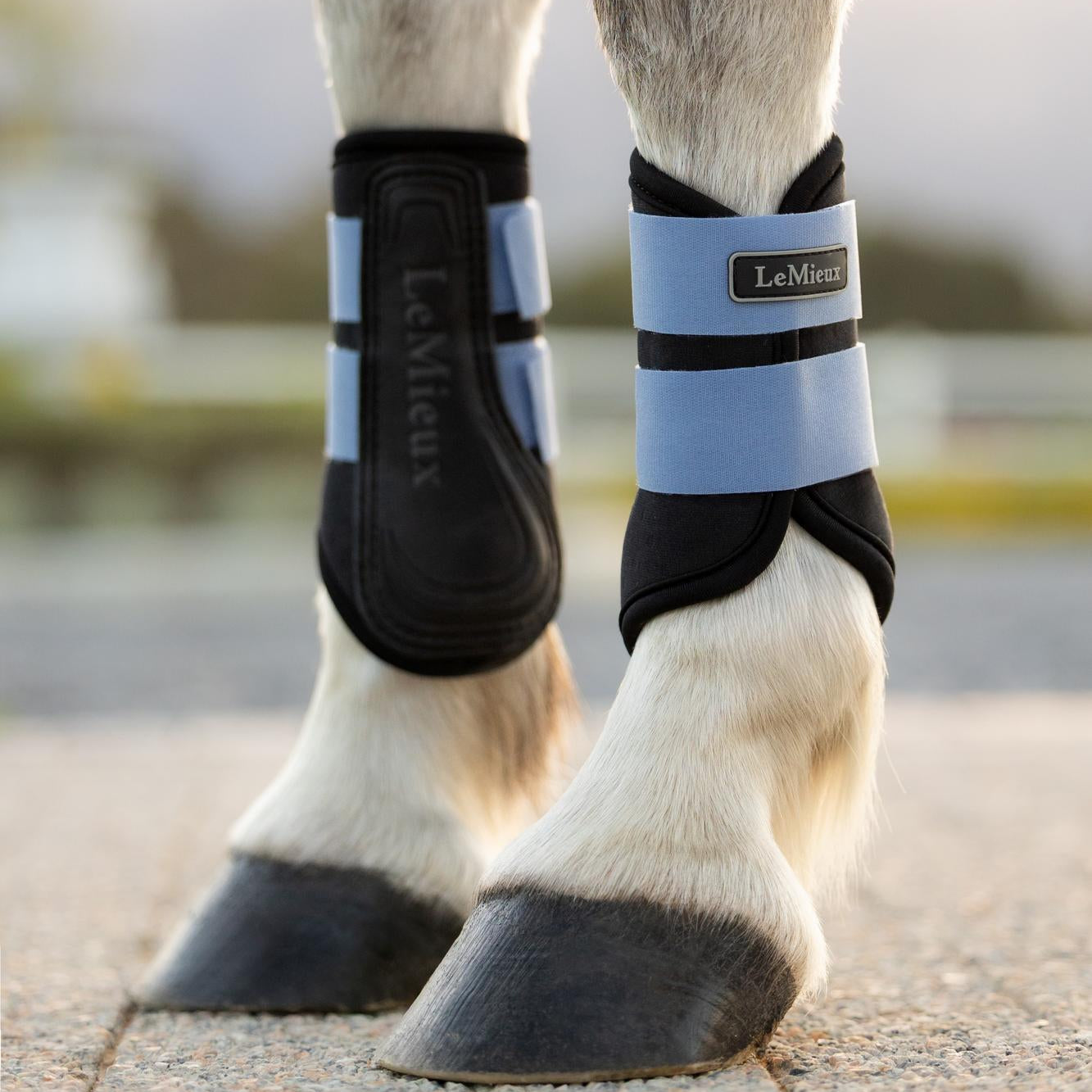 LeMieux Mini Air-Tek Grafter Brushing Boots - SS26