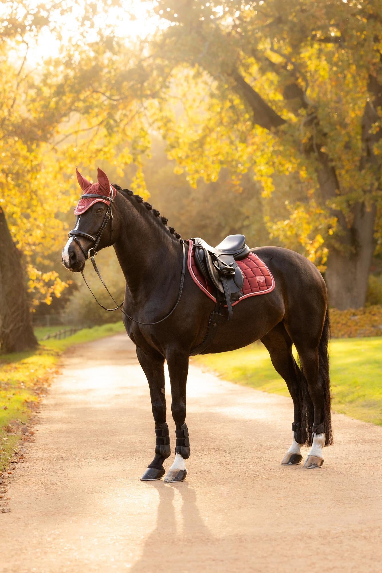 LeMieux Loire Classic Close Contact Square Saddle Pad - AW26