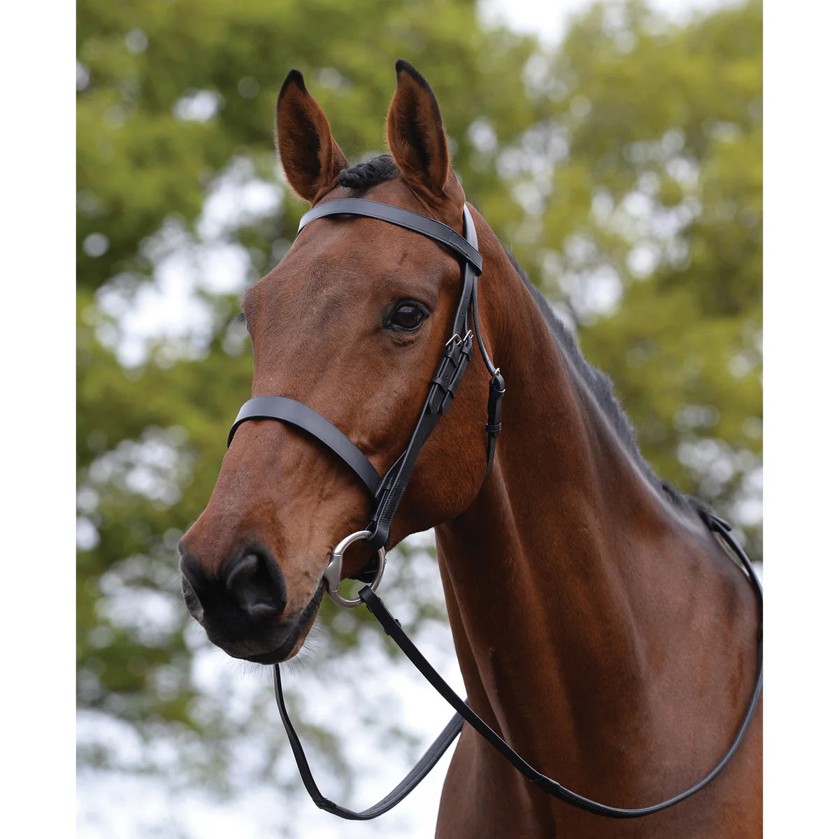 Kincade Flat Cavesson Bridle