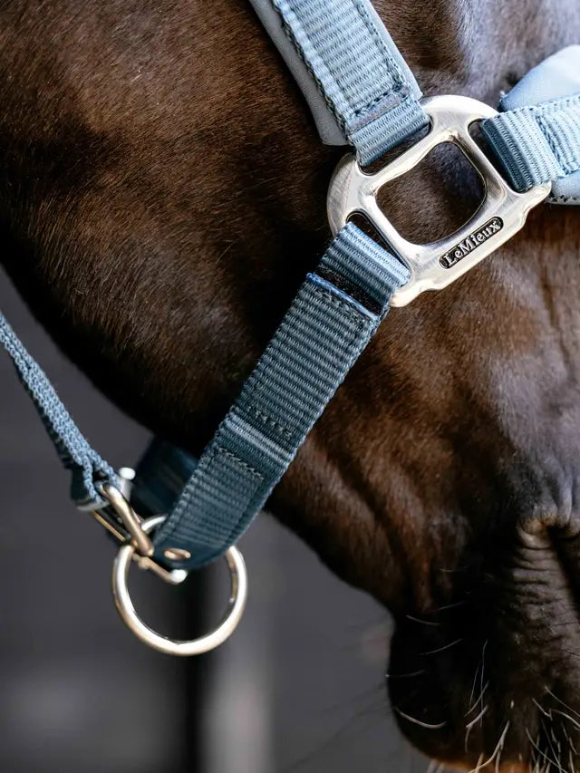LeMieux Breakaway Vogue Headcollar