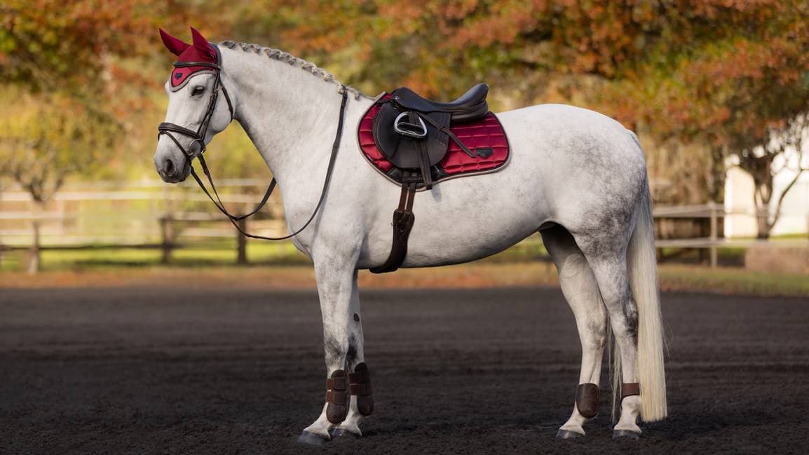 LeMieux Loire Classic Close Contact Square Saddle Pad- AW24