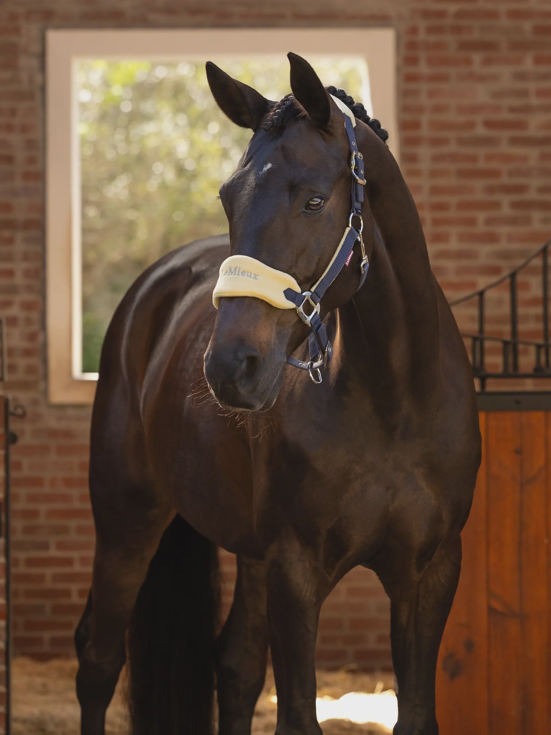 LeMieux Vogue Fly Hotte - Protection Équitation Élégante En Crochet Et Corde Tressée