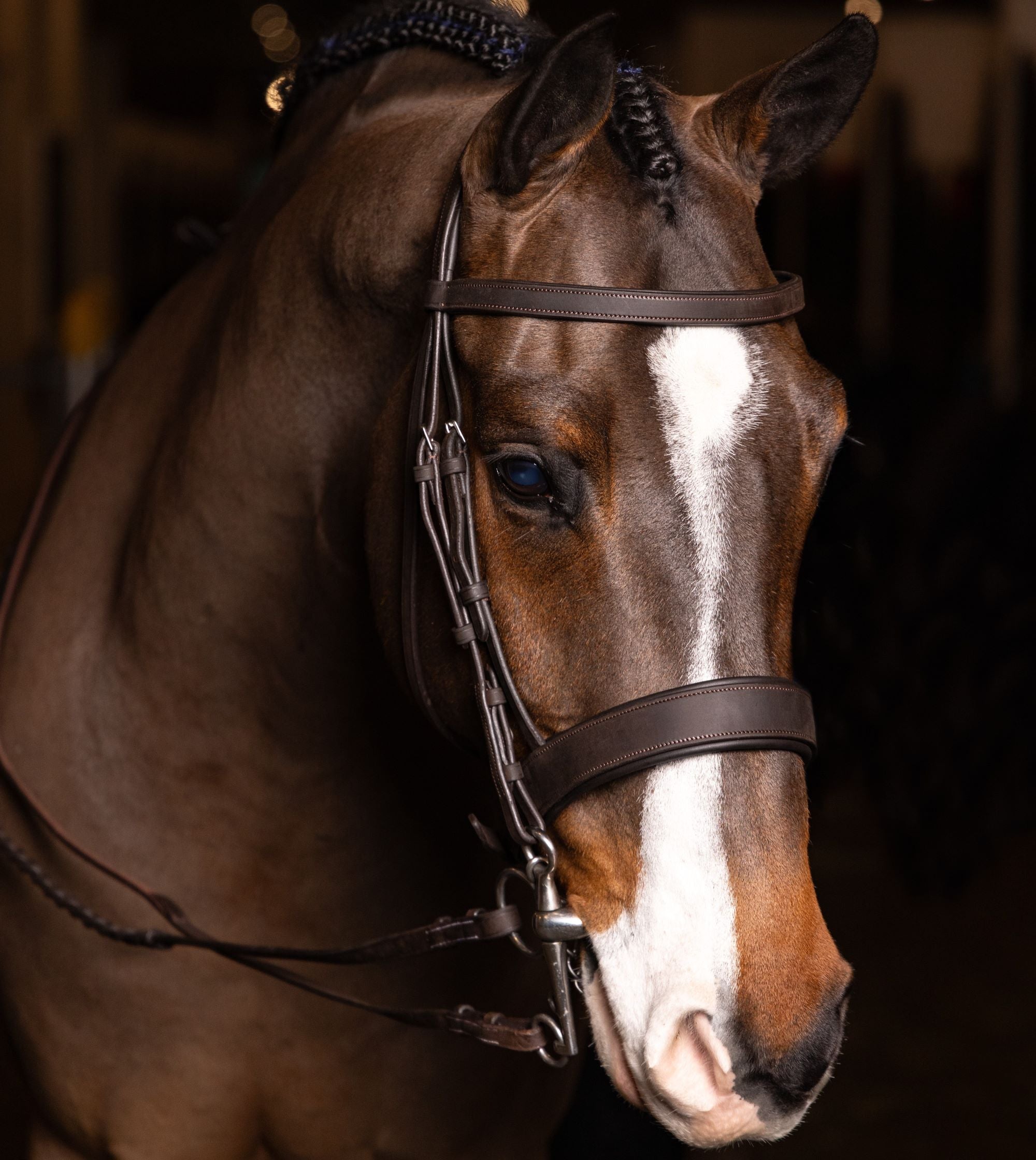 LeMieux Flat Hunter Bridle with Laced Reins