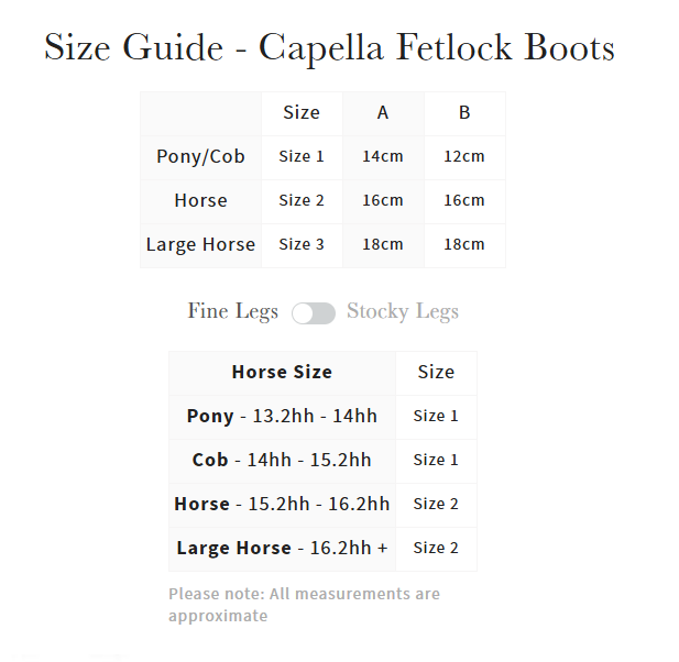 LeMieux Capella Fetlock Boots