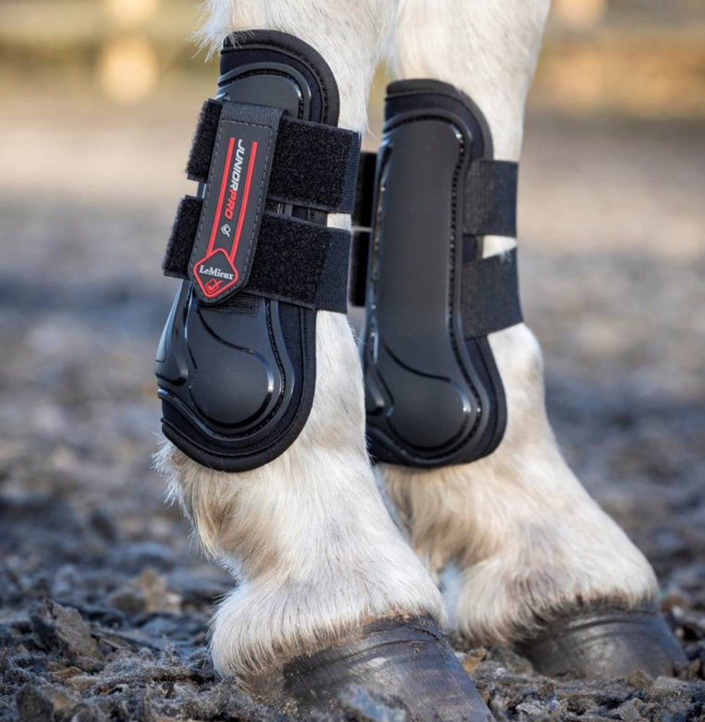 LeMieux Junior Pro Tendon Fetlock Boots Set HorseSports