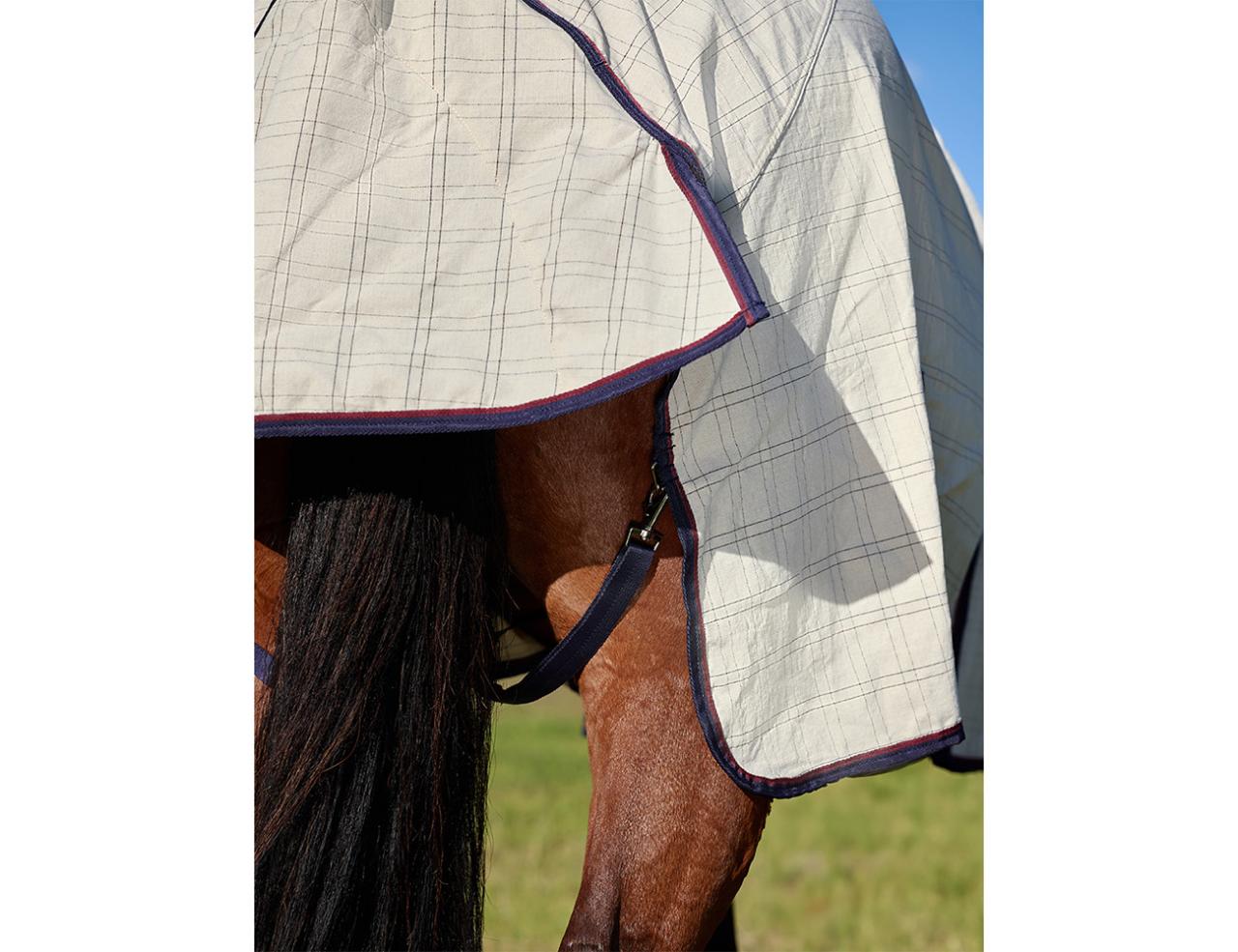 Weatherbeeta Cotton Summer Sheet Standard Neck Cover - New