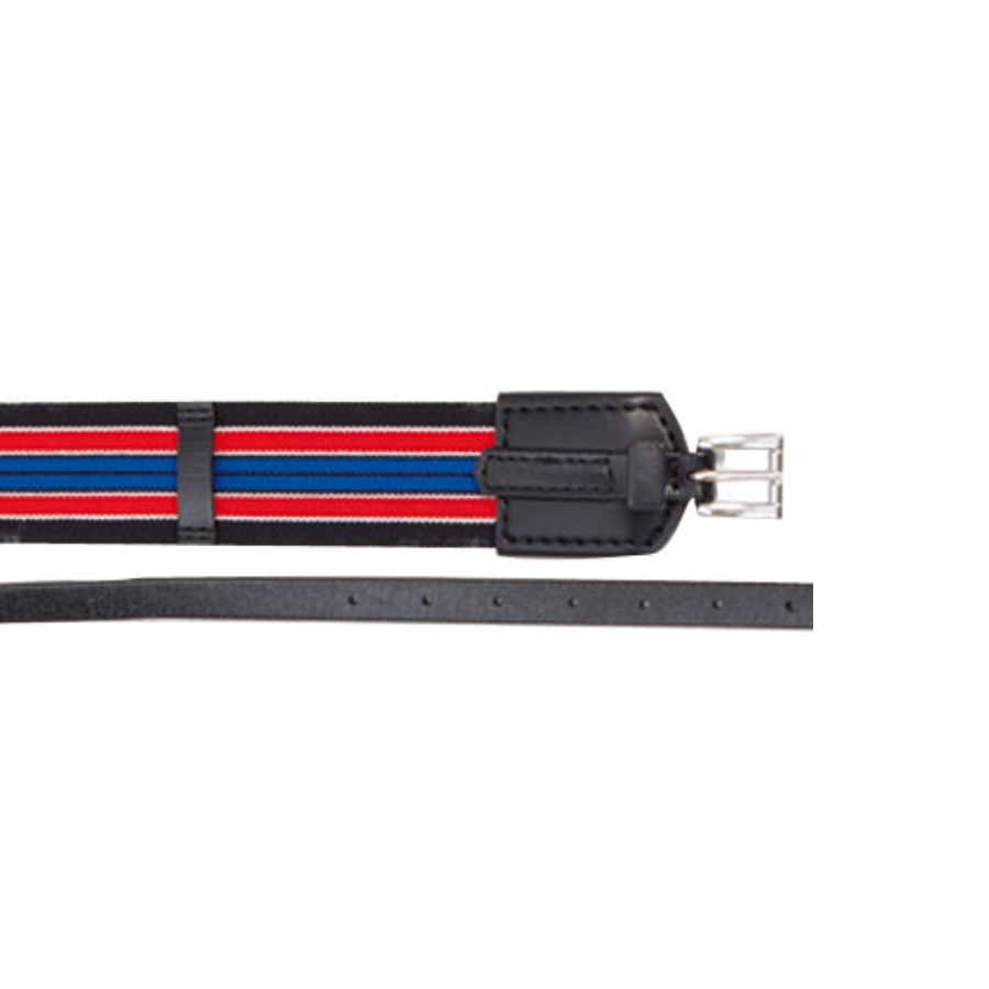 Zilco 50mm Elastic Surcingle Red/Blue