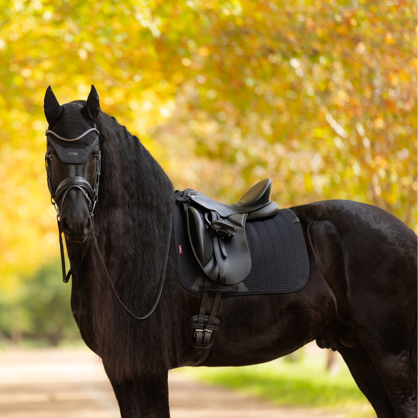 LeMieux Essence Dressage Square