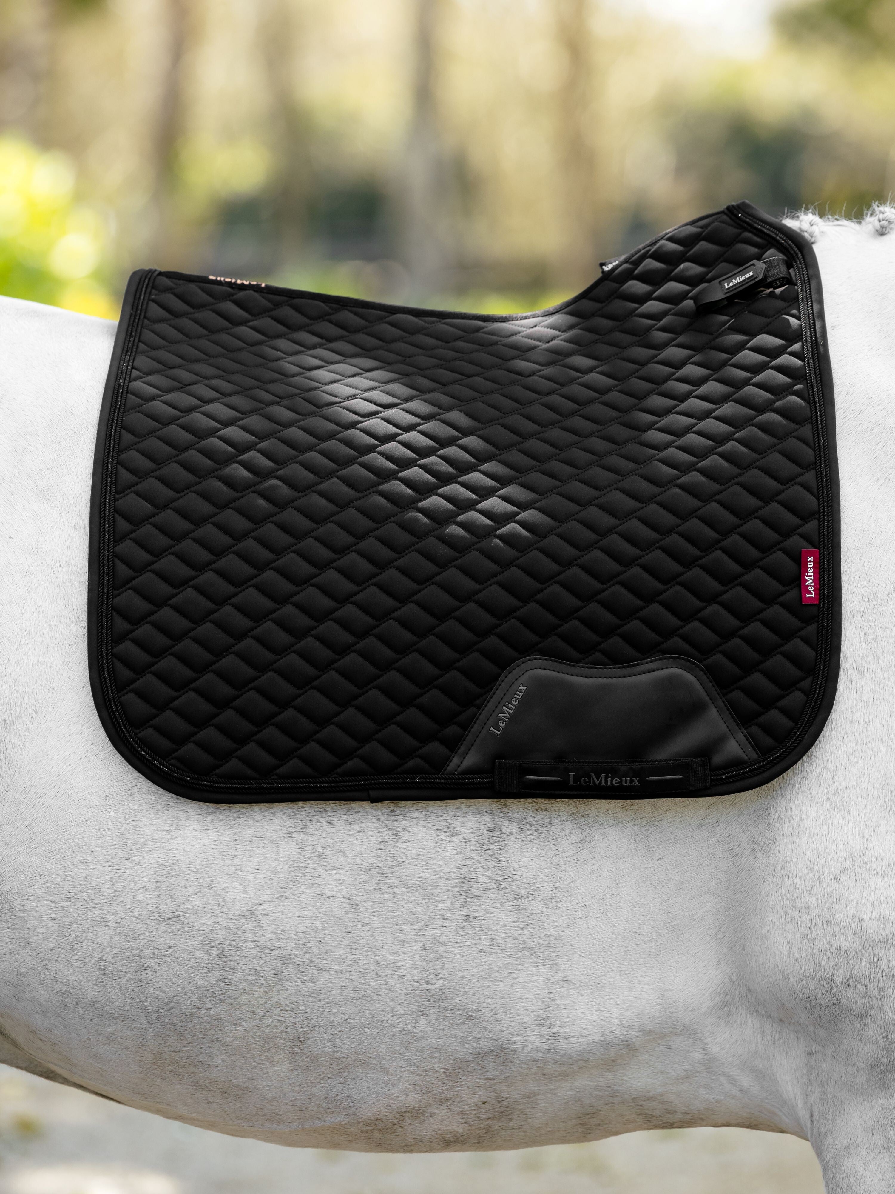 LeMieux Brilliance Dressage Square Saddle Pad