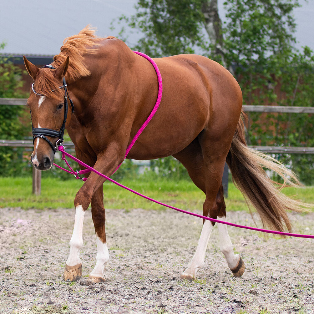 QHP Lunge line in Bag