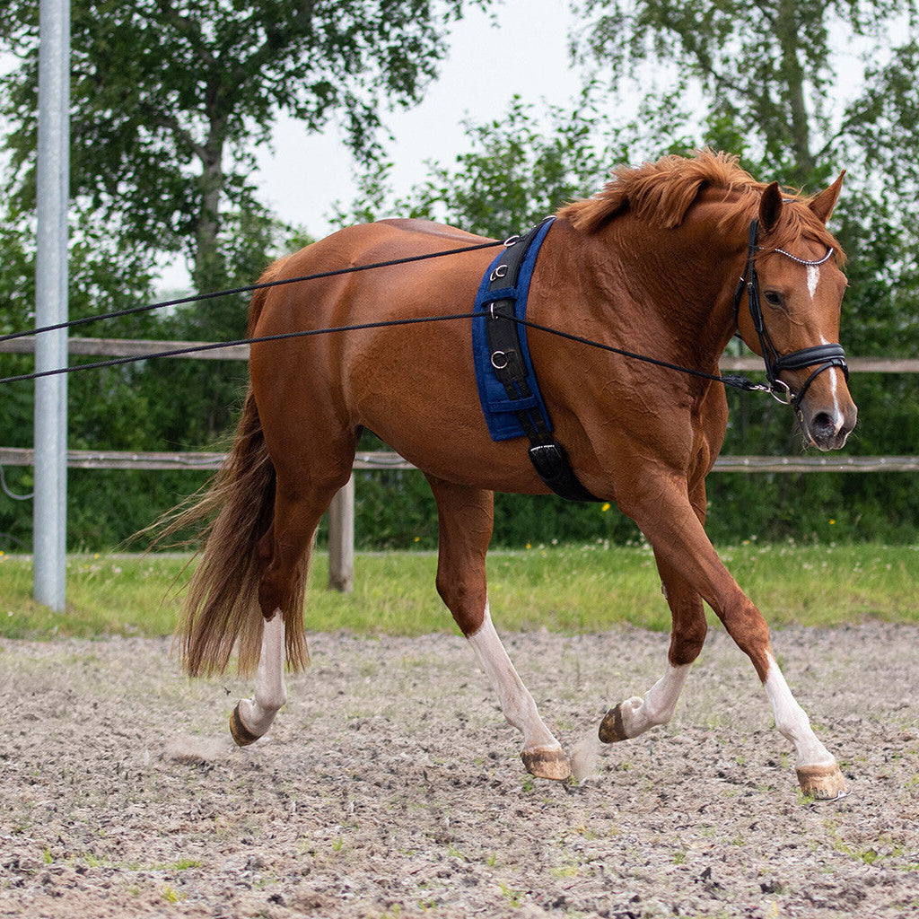 QHP Double Lunging rein