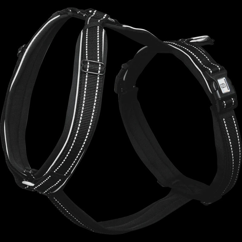 Sprenger Foal Harness