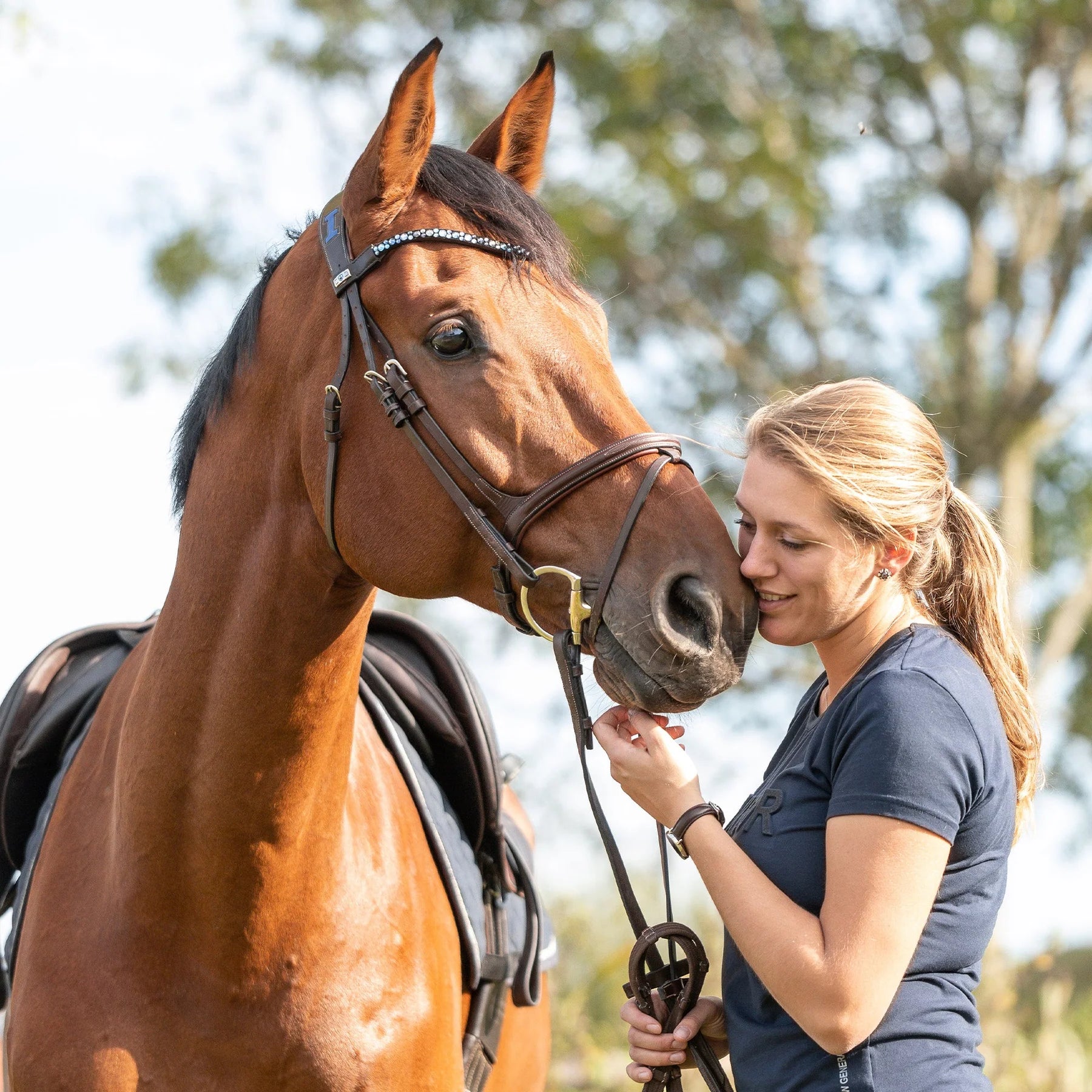 Sprenger Novocontact Eggbutt Snaffle Bit with D Shaped Rings - 14mm