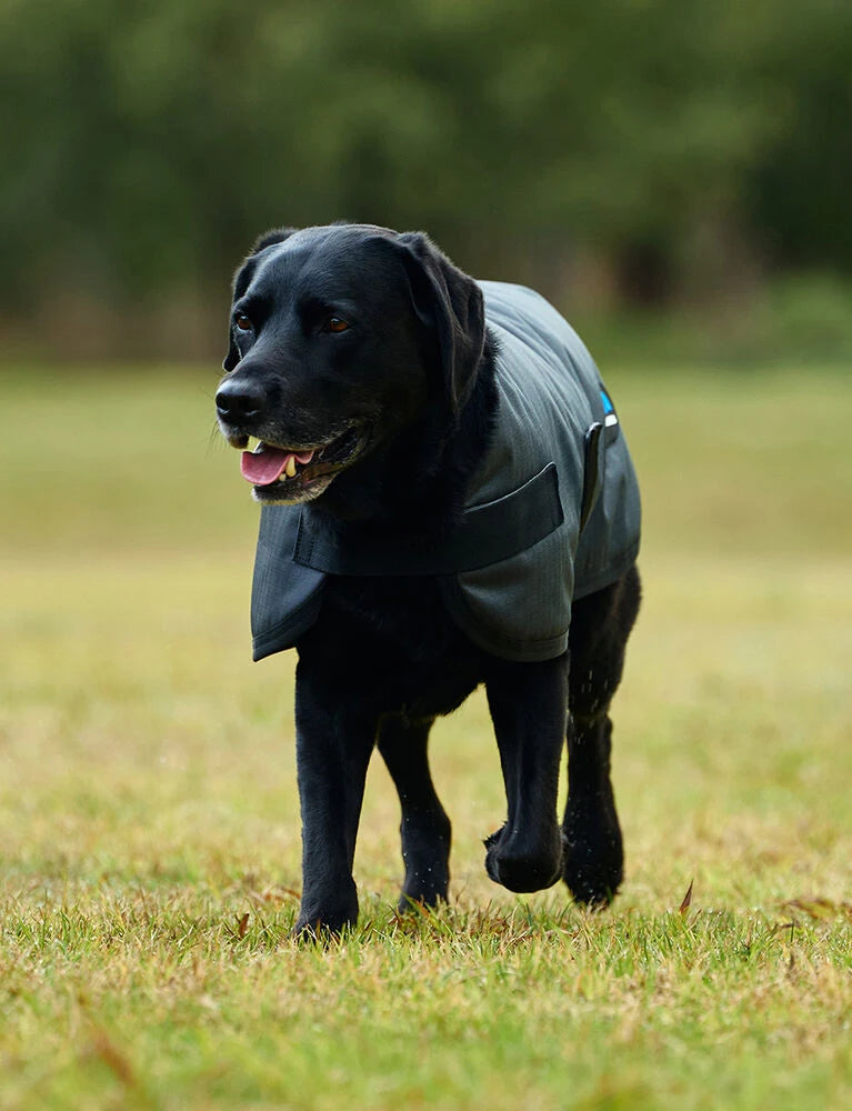 Weatherbeeta Comfitec Classic Waterproof Dog Coat