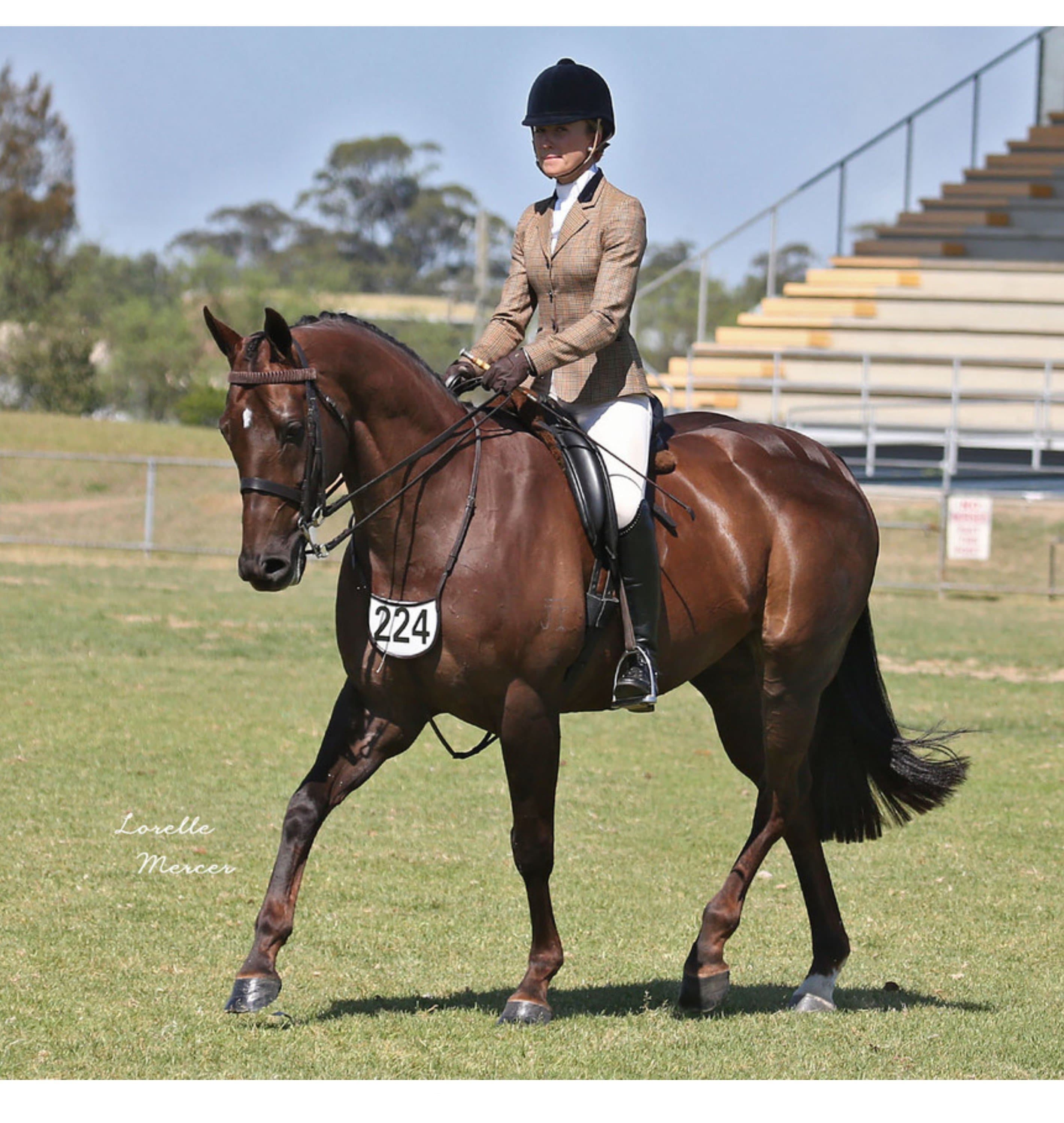 WHE Fine Stitched Number Holder White Faced