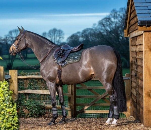 LeMieux Loire Classic Close Contact Square Saddle Pad