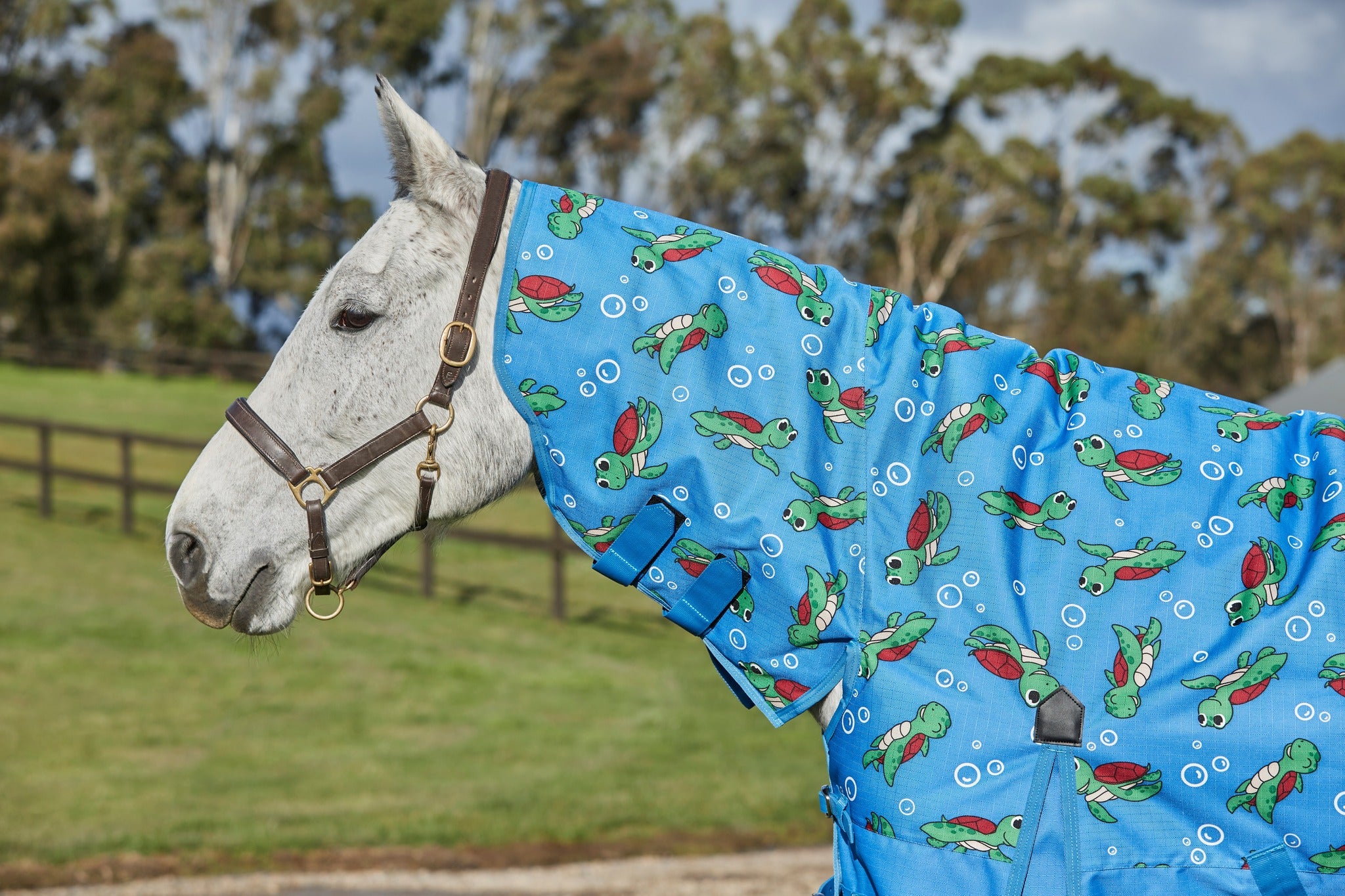 Weatherbeeta ComFiTec Essential Combo Neck Medium - Turtle Print