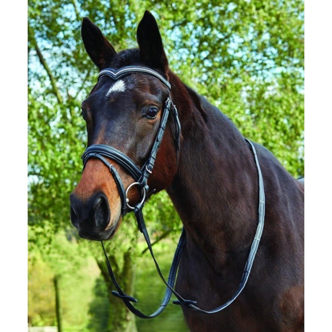 Kincade Deep V Crystal Hanoverian Bridle