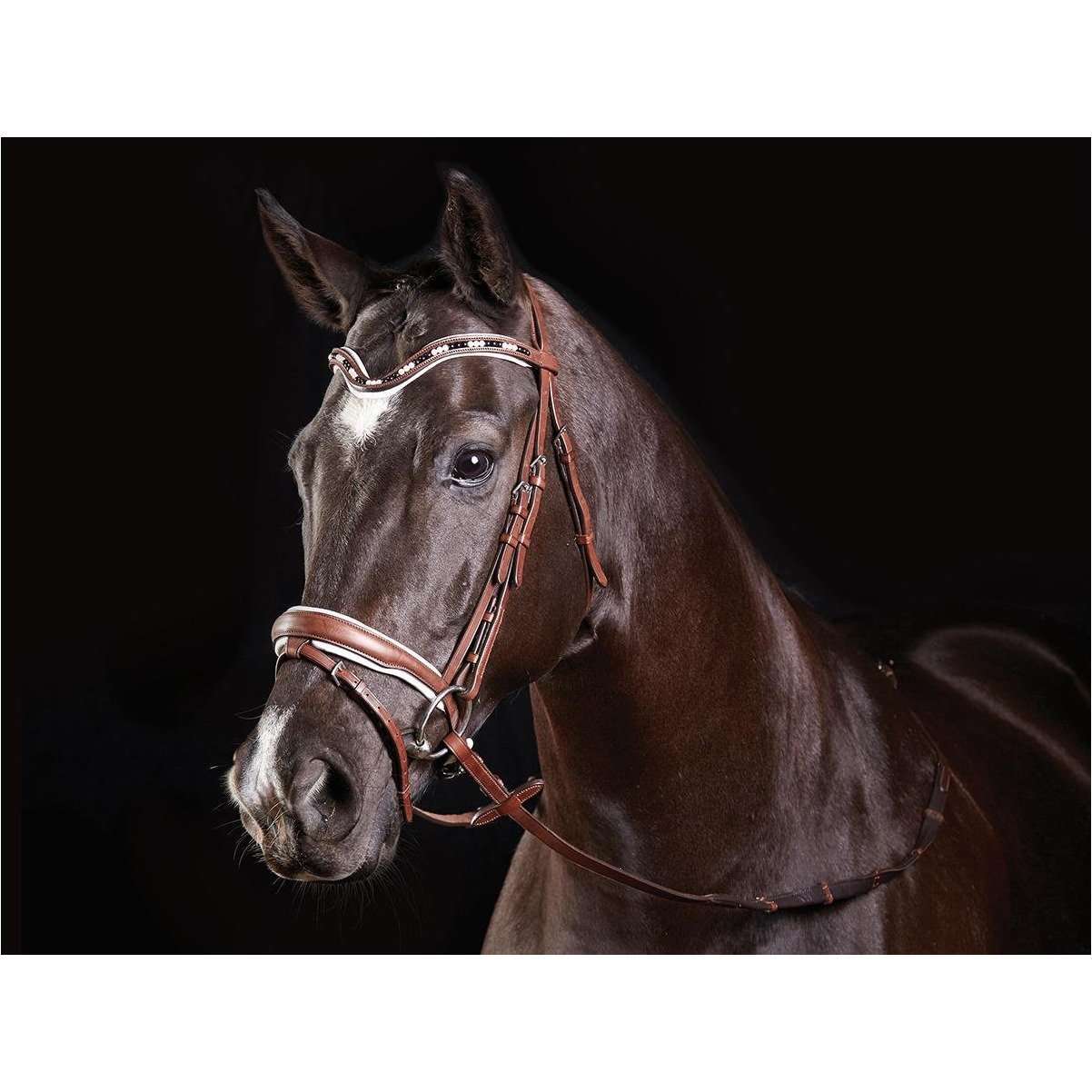 Collegiate Deep V Pearl Flash Bridle