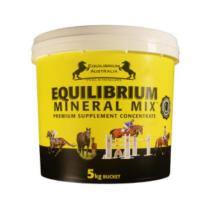 Equilibrium Mineral Mix (Yellow)