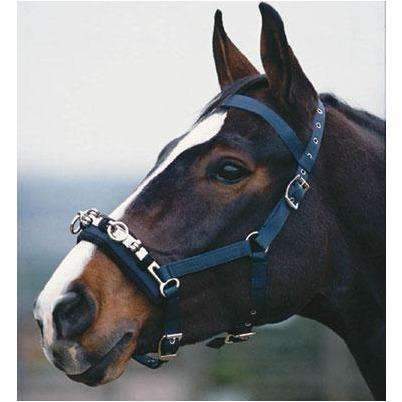 Kincade Co-Ord Lunge Cavesson