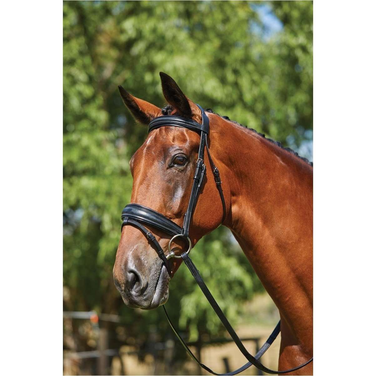 Kincade Patent Insert Mono Crown Bridle