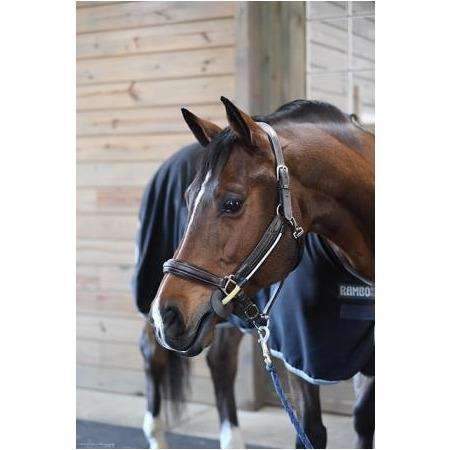 Thinline Busy Buddy – HorseSports NZ Equestrian Supplies