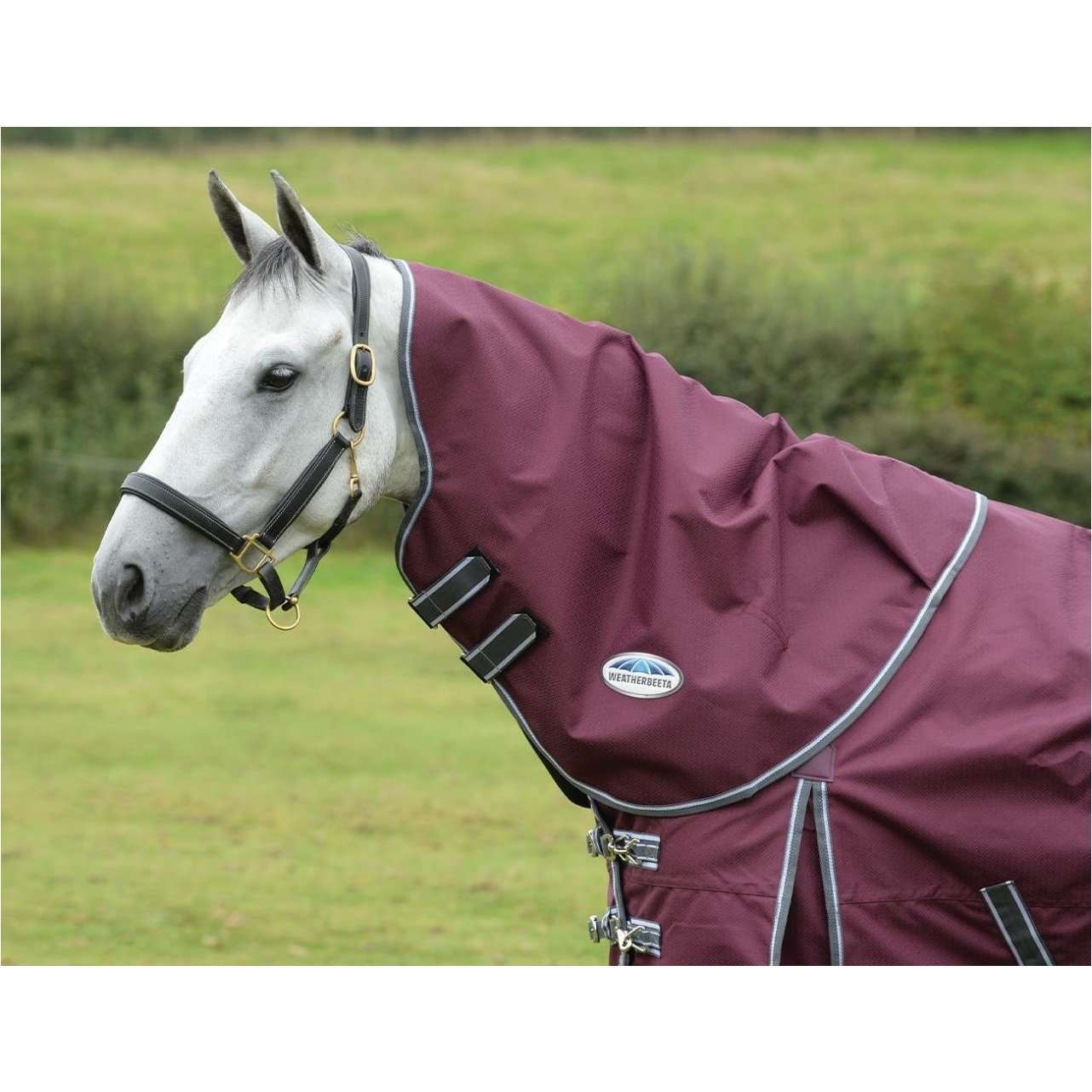 WeatherBeeta ComFiTec Plus Dynamic II Neck Rug - Medium/Lite